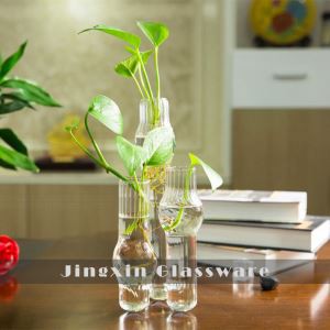 البورسليكات الزجاج زهرية برعم مع خط مضلع الداخل