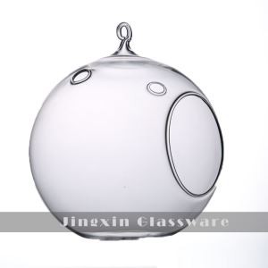 مرابي النباتات الزجاجية المعلقة في الهواء